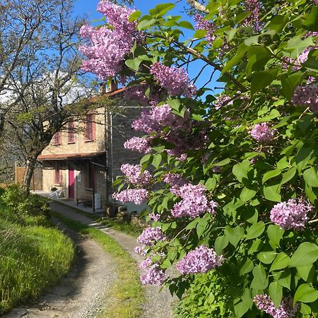 La Lupa E L'Orso Bed and Breakfast Berceto Eksteriør billede