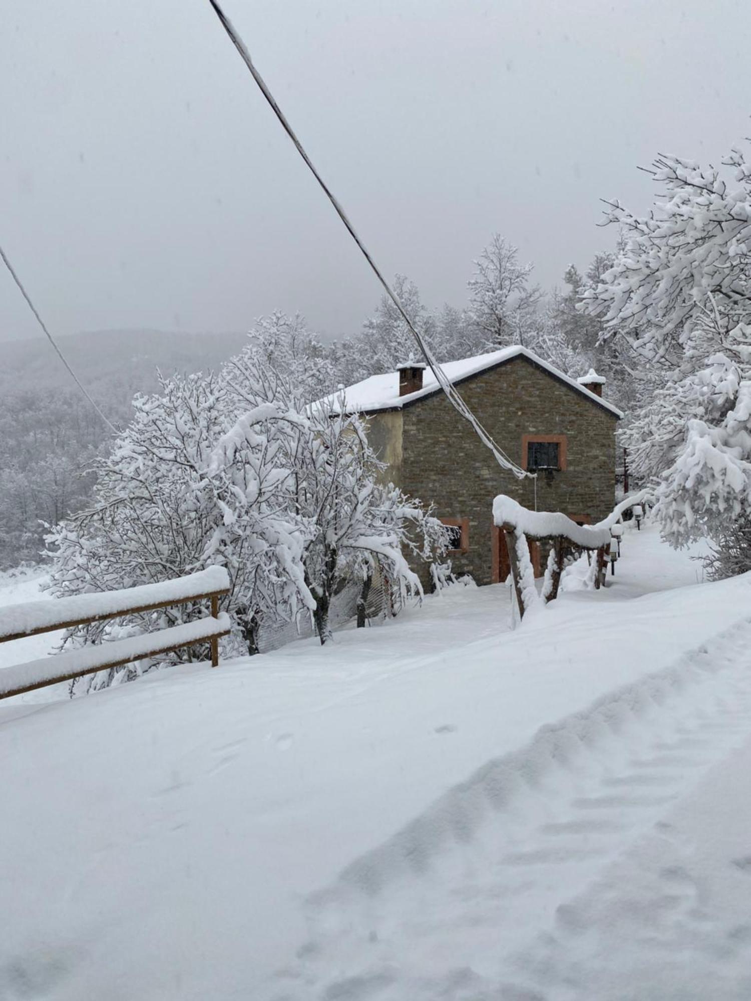 La Lupa E L'Orso Bed and Breakfast Berceto Eksteriør billede